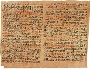 Plates vi & vii of the Edwin Smith Papyrus at the Rare Book Room, New York Academy of Medicine[3]
