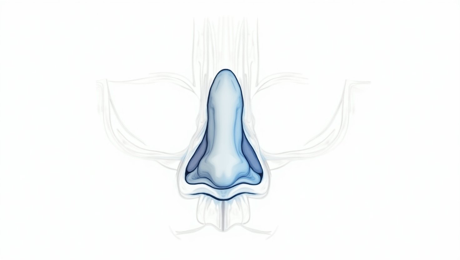 img nasal surgery comprehensive guide